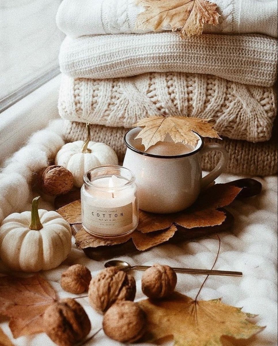 Autumn/Winter
